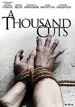 A Thousand Cuts (2012) 720p BluRay-LAMA Torrent